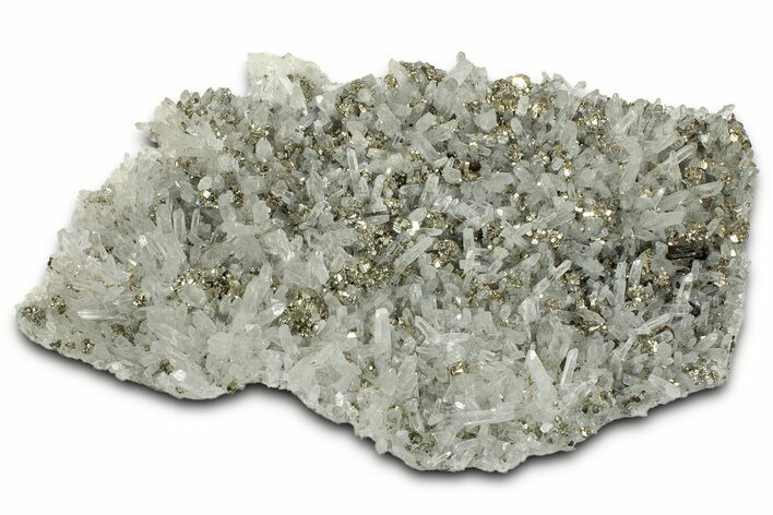 Glittering Pyrite Crystals on Quartz - Peru #347639